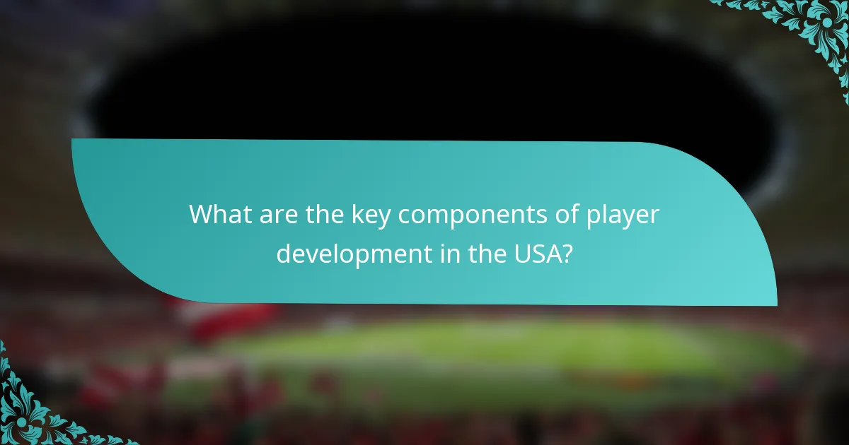 What are the key components of player development in the USA?